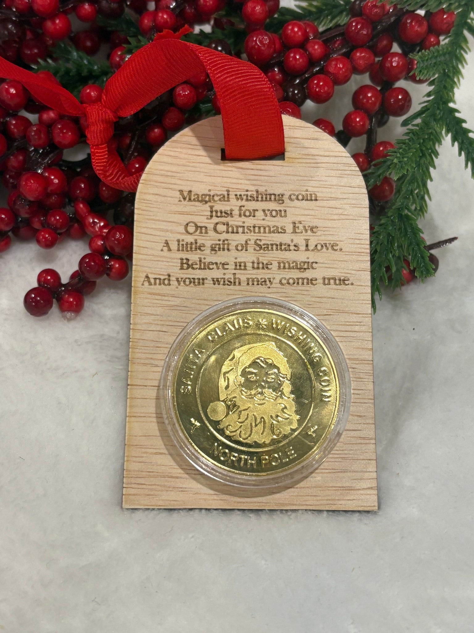 Santa Wishing coin with plaque